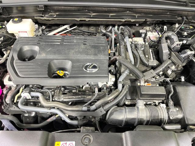 TOYOTA LEXUS NX350H 2023 Image 31