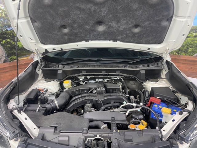 SUBARU FORESTER 2019 Image 31