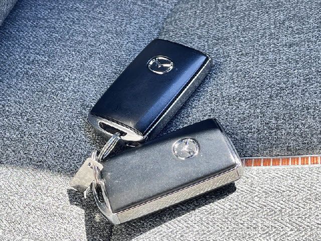 MAZDA MX-30 2021 Image 31