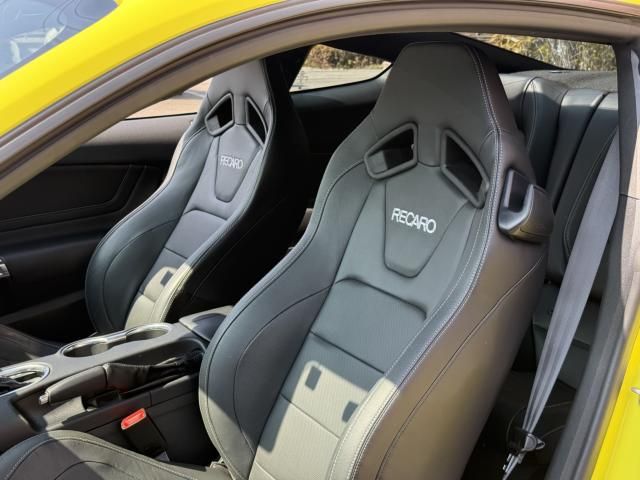 FORD MUSTANG 2023 Image 31