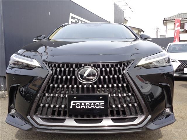 TOYOTA LEXUS NX250 AWD 2022 Image 31