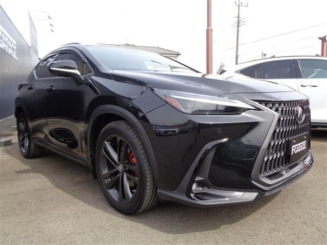TOYOTA LEXUS NX250 AWD 2022 Image 31