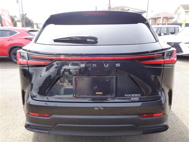 TOYOTA LEXUS NX250 AWD 2022 Image 31