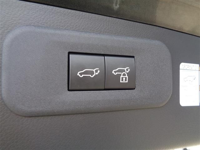 TOYOTA LEXUS NX250 AWD 2022 Image 31