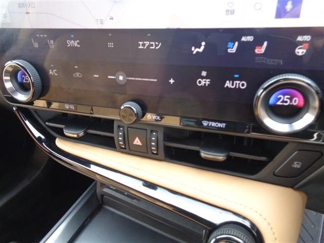 TOYOTA LEXUS NX250 AWD 2022 Image 31