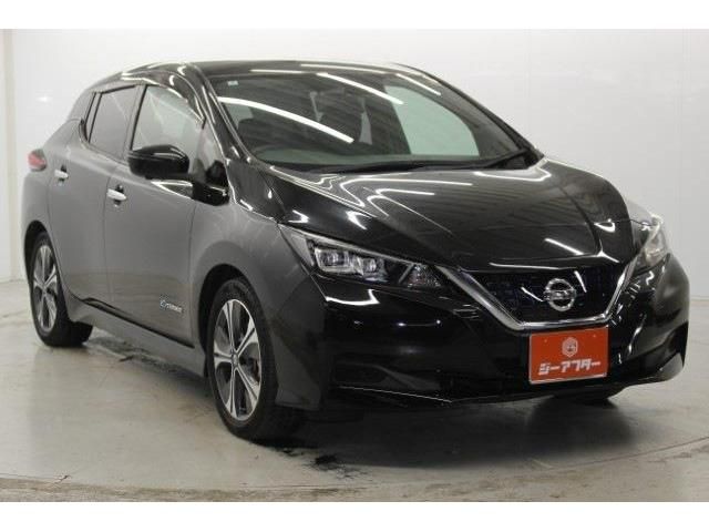 NISSAN LEAF 2020 Image 31