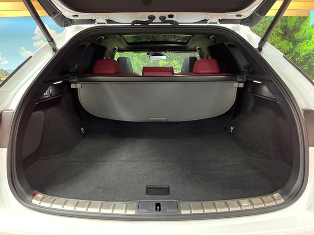 TOYOTA LEXUS RX500H 2023 Image 31