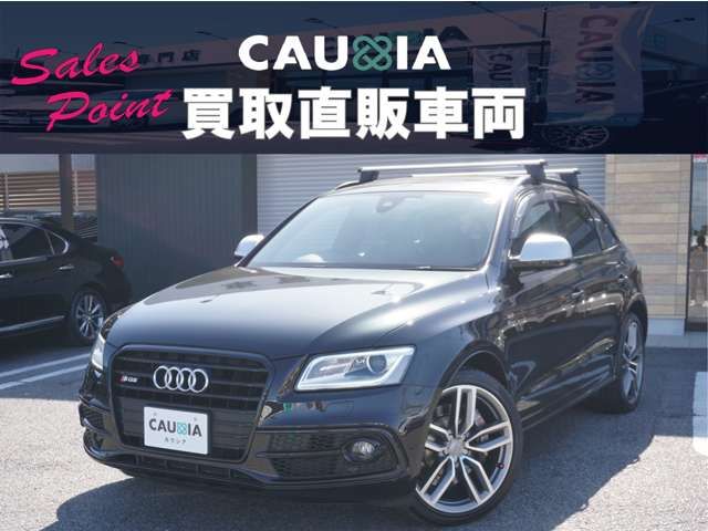 AUDI SQ5 2014 Image 31