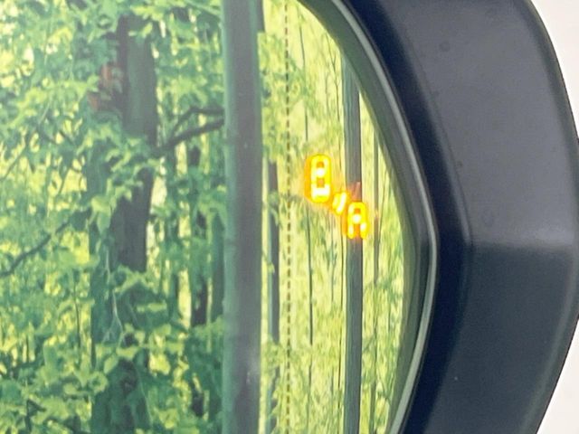 TOYOTA LEXUS NX300H AWD 2019 Image 31