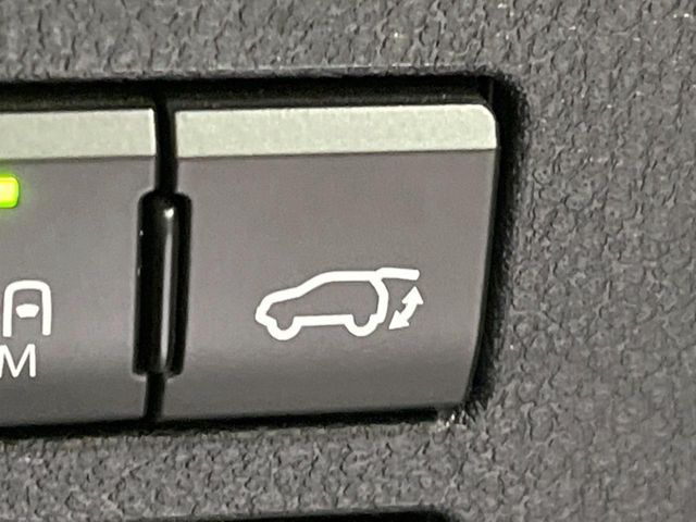 TOYOTA LEXUS NX300H AWD 2019 Image 31