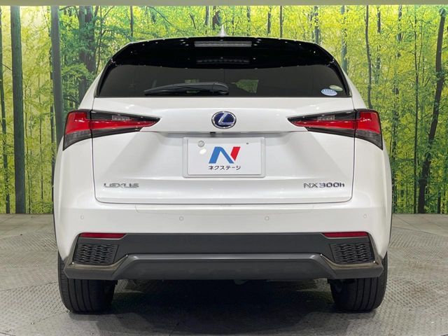 TOYOTA LEXUS NX300H AWD 2019 Image 31