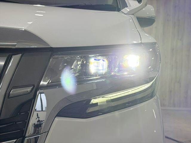 TOYOTA ALPHARD HYBRID 4WD 2019 Image 31