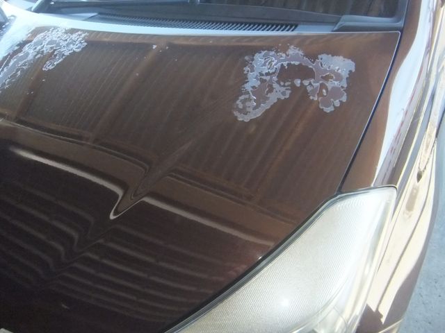 TOYOTA VITZ 2014 Image 31