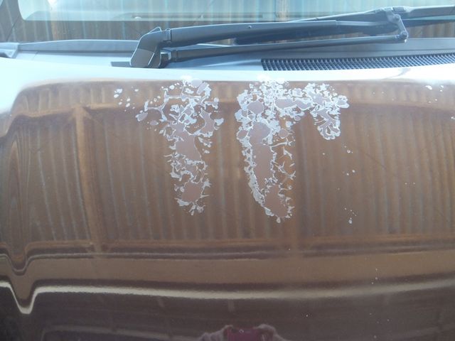 TOYOTA VITZ 2014 Image 31