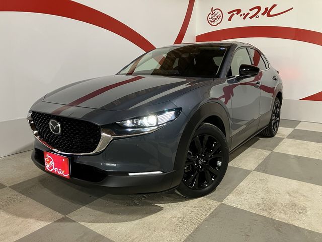 MAZDA CX-30 2023 Image 31