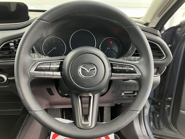 MAZDA CX-30 2023 Image 31