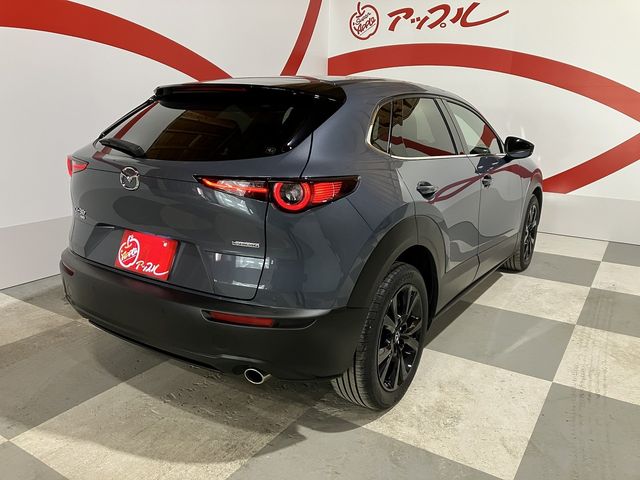 MAZDA CX-30 2023 Image 31