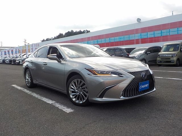 TOYOTA LEXUS ES300H 2019 Image 31