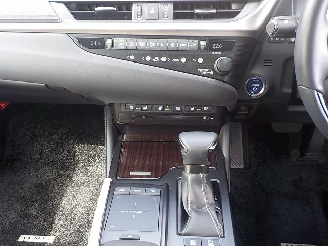 TOYOTA LEXUS ES300H 2019 Image 31