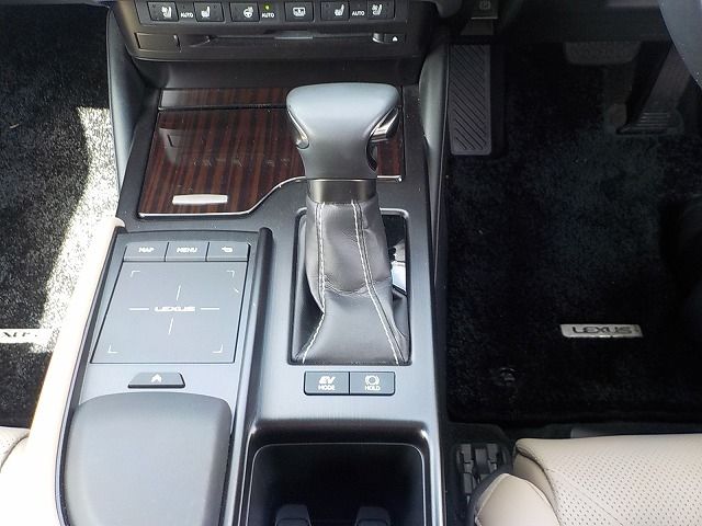 TOYOTA LEXUS ES300H 2019 Image 31