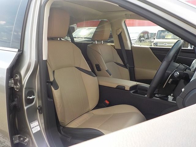 TOYOTA LEXUS ES300H 2019 Image 31