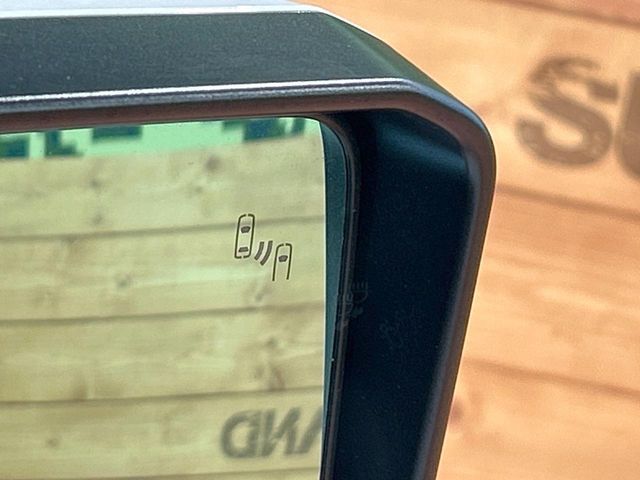 TOYOTA LANDCRUISER 250 2025 Image 31