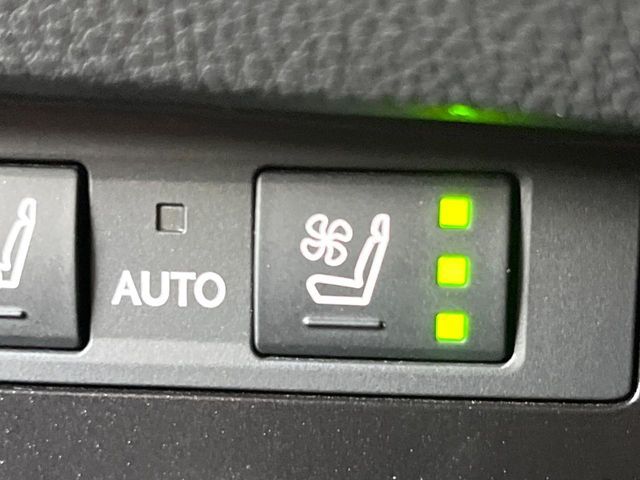 TOYOTA LEXUS ES300H 2022 Image 31