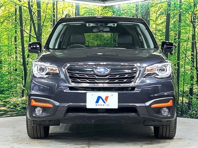 SUBARU FORESTER 2017 Image 31