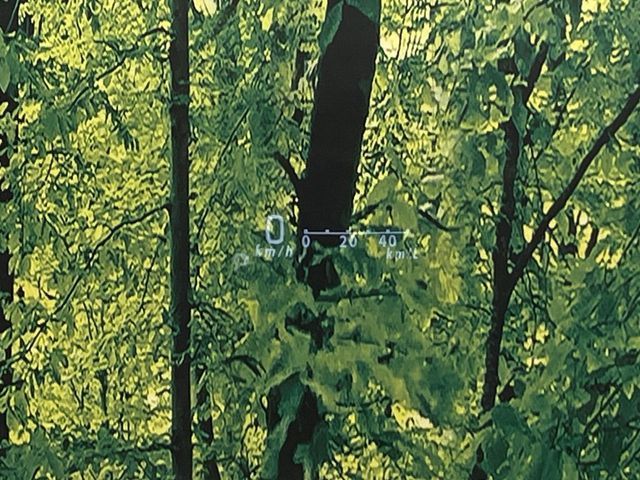 SUZUKI SPACIA 2019 Image 31