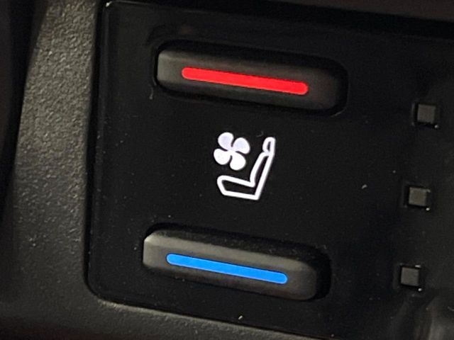 TOYOTA RAV4 4WD 2024 Image 31