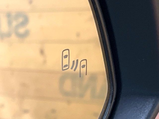 TOYOTA RAV4 4WD 2024 Image 31