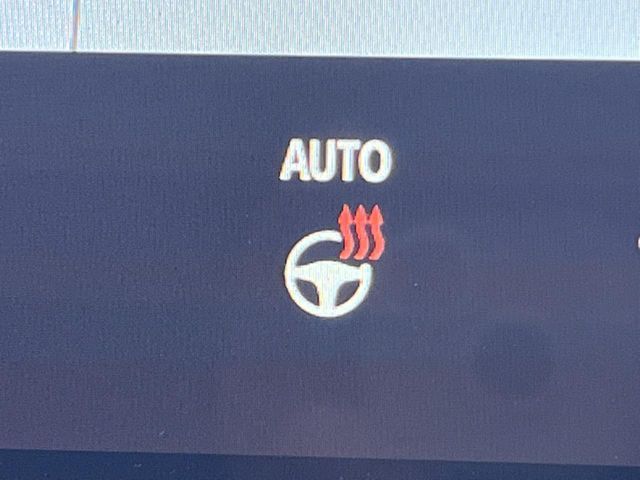 TOYOTA ALPHARD HYBRID 2024 Image 31