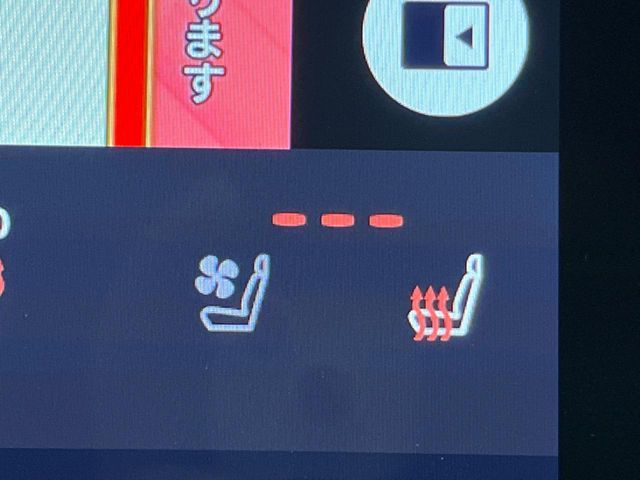 TOYOTA ALPHARD HYBRID 2024 Image 31