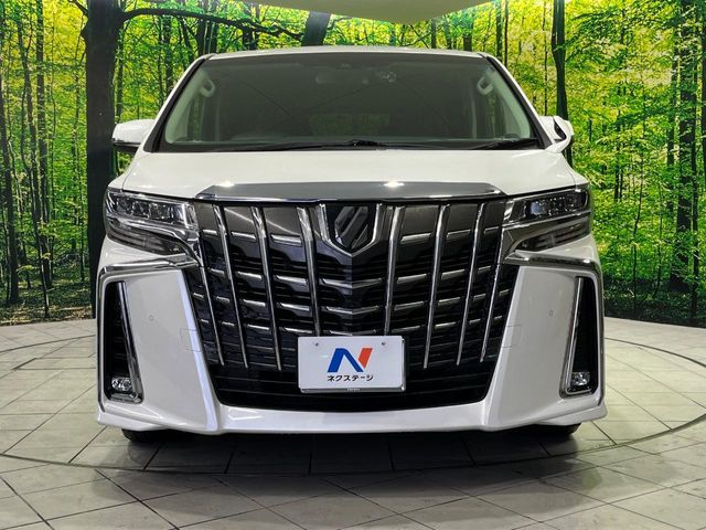 TOYOTA ALPHARD 4WD 2019 Image 31