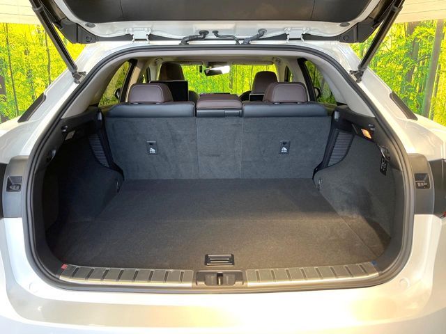 TOYOTA LEXUS RX450H 2WD 2017 Image 31