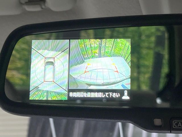 NISSAN DAYZ ROOX 2017 Image 31