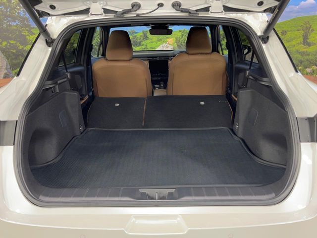 TOYOTA LEXUS LBX 2024 Image 31