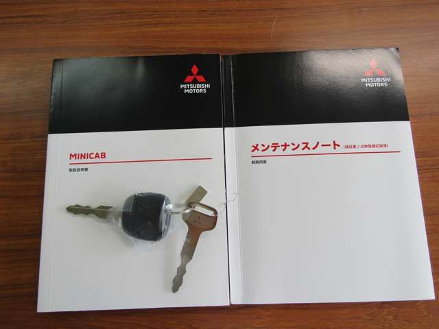 MITSUBISHI MINICAB TRUCK 2025 Image 31