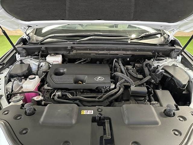 TOYOTA LEXUS NX350H 2023 Image 31