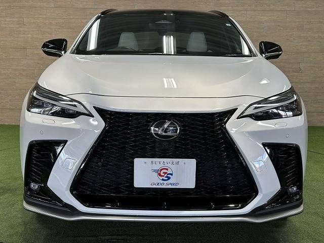TOYOTA LEXUS NX350H 2023 Image 31