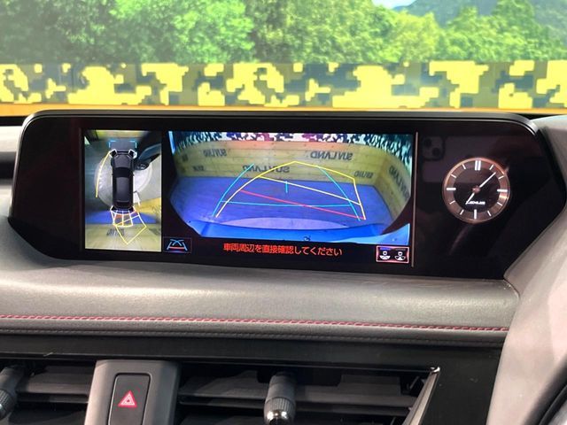 TOYOTA LEXUS UX250H 2019 Image 31