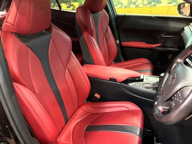 TOYOTA LEXUS UX250H 2019 Image 31