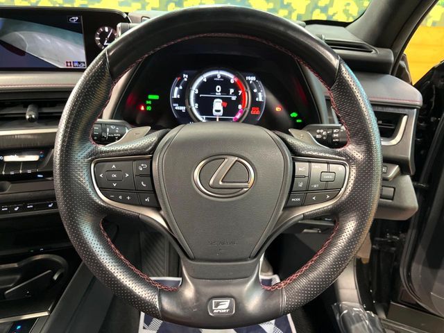 TOYOTA LEXUS UX250H 2019 Image 31