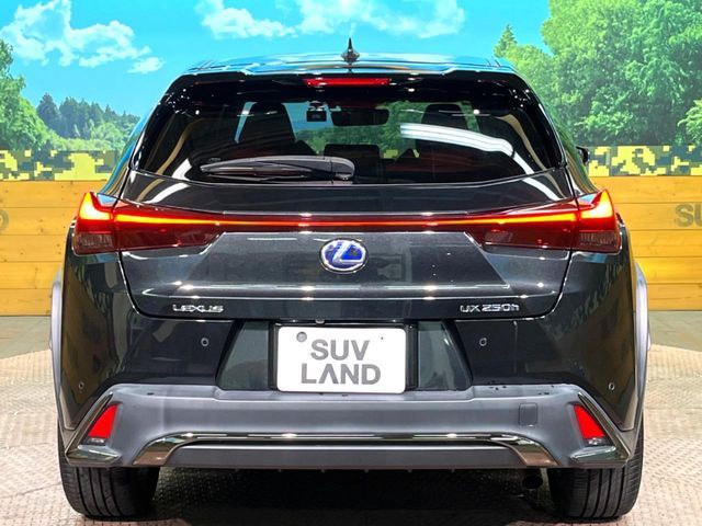 TOYOTA LEXUS UX250H 2019 Image 31