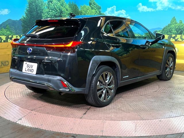TOYOTA LEXUS UX250H 2019 Image 31