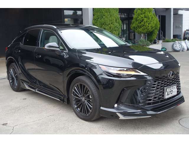TOYOTA LEXUS RX450H+ 2023 Image 31
