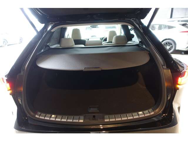 TOYOTA LEXUS RX450H+ 2023 Image 31