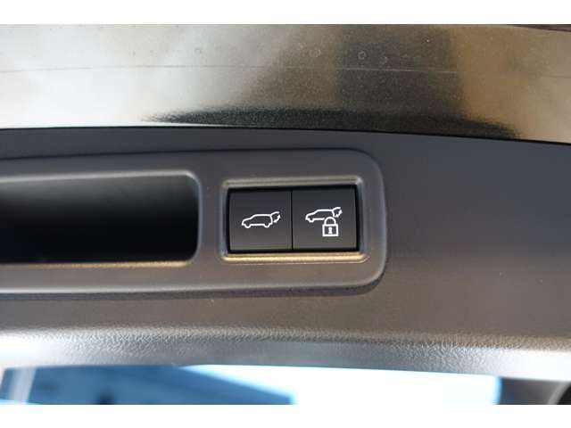 TOYOTA LEXUS RX450H+ 2023 Image 31