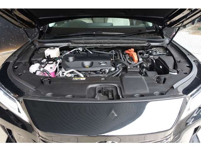 TOYOTA LEXUS RX450H+ 2023 Image 31