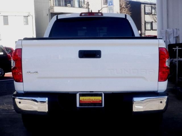 TOYOTA TANDORA 4WD 2021 Image 31